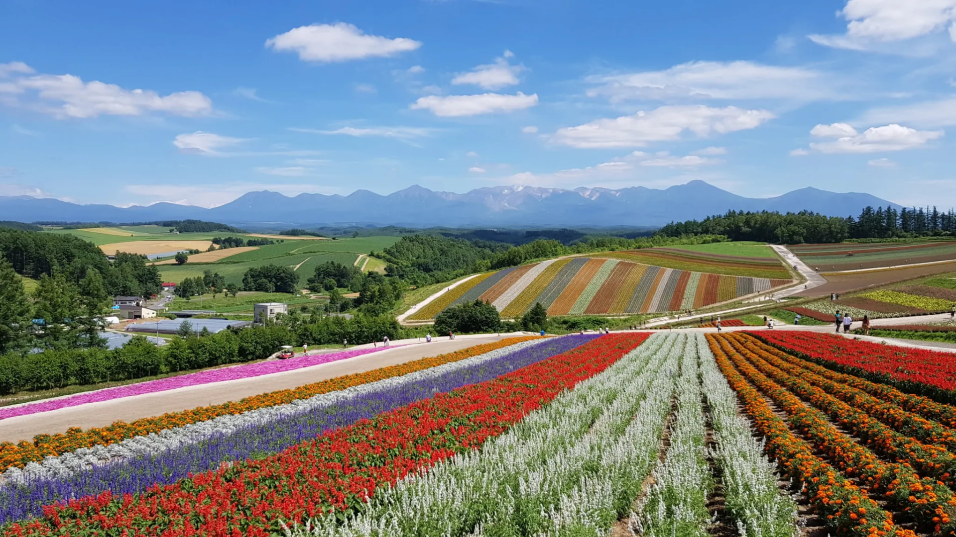 Hokkaido transportation or premium winter travel scene